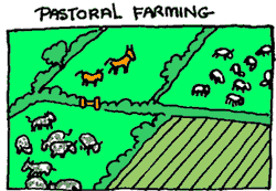 pastoral farming