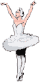 22 or tutu?