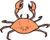 crab