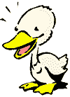 duck laughing