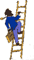 ladder