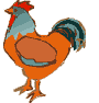 rooster