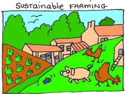 sustainable mixed farm